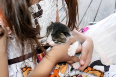 SONY DSC