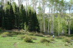 20090601-006