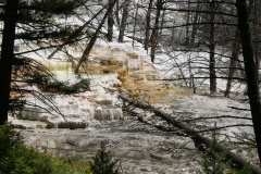 SONY DSC