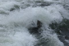 20090618b-072