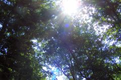 20090627a-009