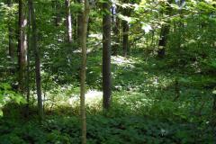 20090627a-010