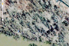 20090627b.bmp-001