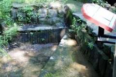 SONY DSC