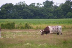 20090701b-003