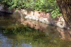 SONY DSC
