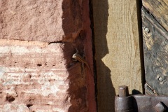 SONY DSC