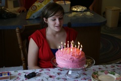 SONY DSC