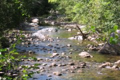 20090831a-003