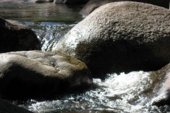 20090831a-008