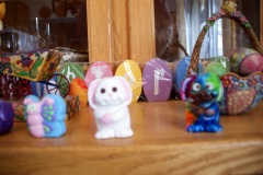 SONY DSC