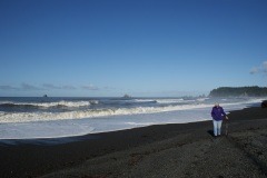 SONY DSC