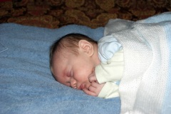 SONY DSC