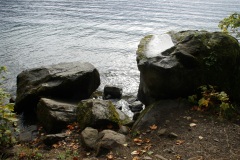 SONY DSC