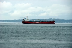 SONY DSC
