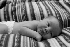 c9a980c8-2395-441a-b9c3-22168d1f5191_1BW