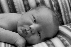 c9a980c8-2395-441a-b9c3-22168d1f5191_3BW
