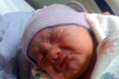 2012-03-29-Sophia-Evelyn-Branch-2