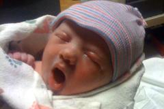 2012-03-29-Sophia-Evelyn-Branch-4