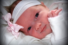 2012-04-15-Sophia-Branch