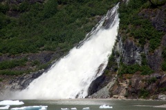 SONY DSC