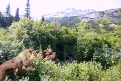 20120624-077