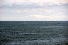SONY DSC