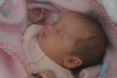 1_Sophia-2