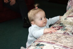SONY DSC