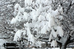 20130129