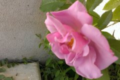 20130602-009