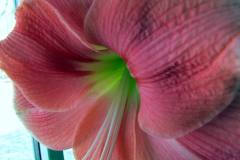 20130609b-078