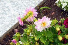 20130706T-009