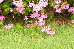 20130706T-010
