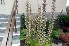 20130706T-011