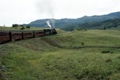 SONY DSC