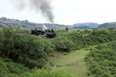SONY DSC