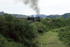 SONY DSC