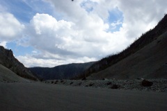 SONY DSC