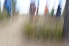 dsc01397