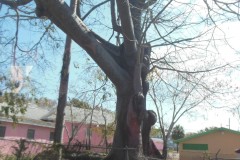 20140323T-016