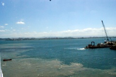 SONY DSC