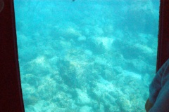 SONY DSC