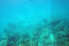 SONY DSC