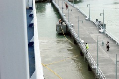 SONY DSC