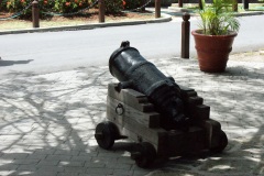 SONY DSC