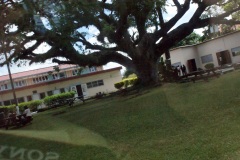 SONY DSC