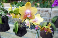 20140328T-022