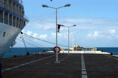 SONY DSC