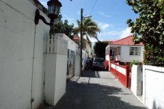 SONY DSC